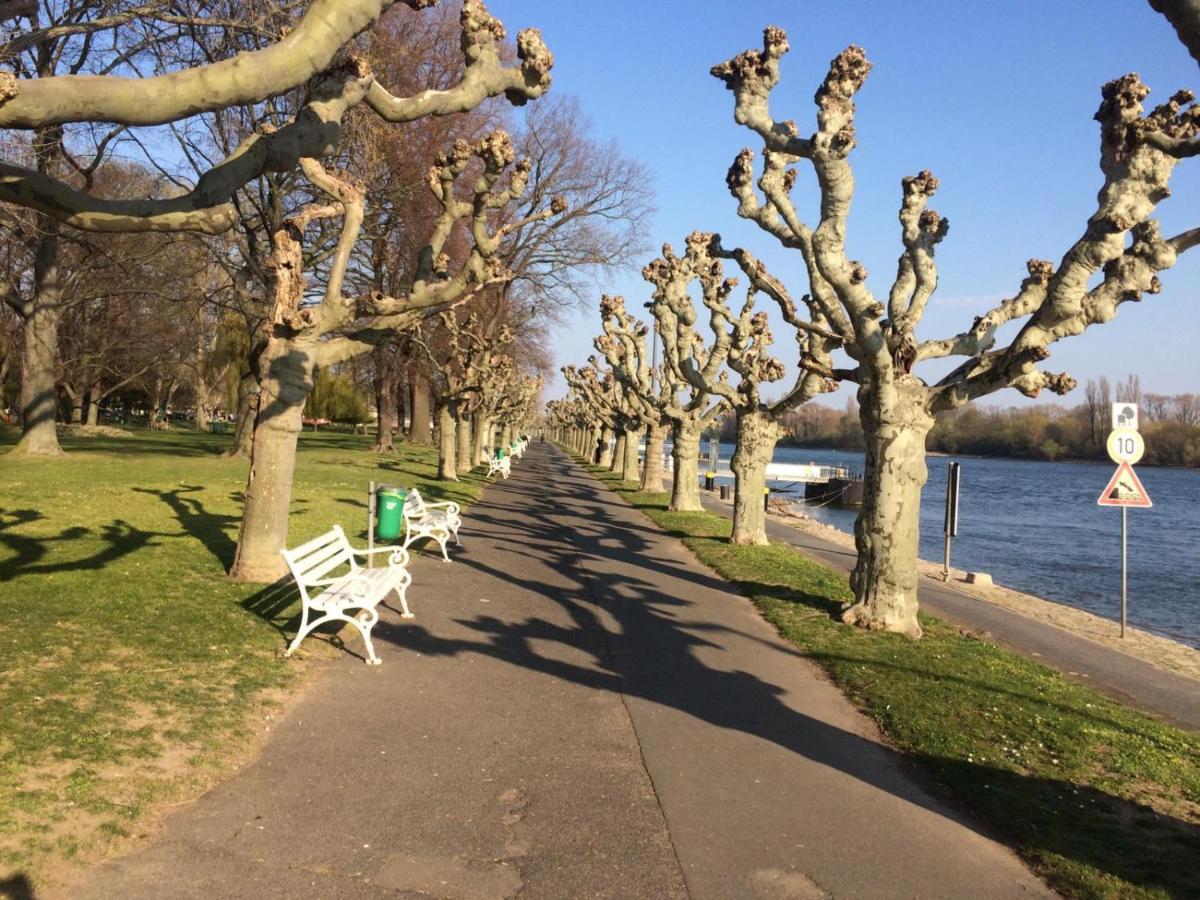 Hotel Krone Ruedesheim Ruedesheim am Rhein Luaran gambar